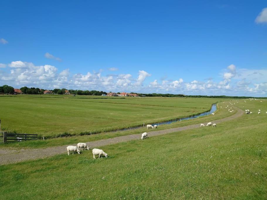 De Oostkamer; Eiland Naast Natuurgebied Boschplaat Appartement